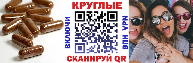 Купить где Чехов ЭКСТАЗИ Philipp Plein