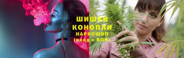винт Карпинск