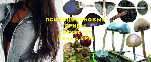 винт Карпинск